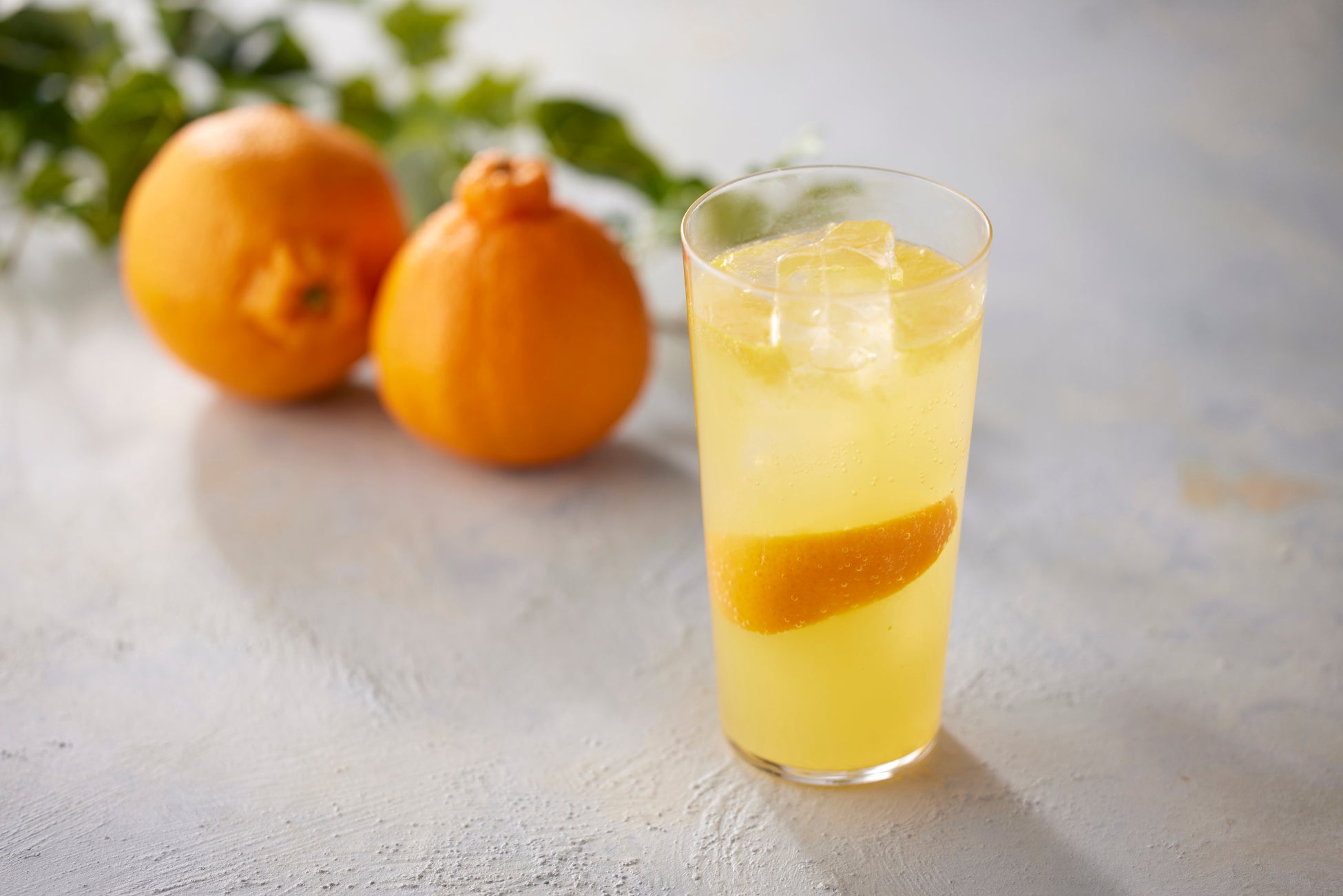 デコポン®ジントニック